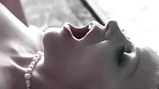 סרטון כלבות שובבות ונחמדות (ג'ינה לין, סרטי סקס חינם לצפיה ג'נה פרסלי) - 2022-02-26 16:32:06
